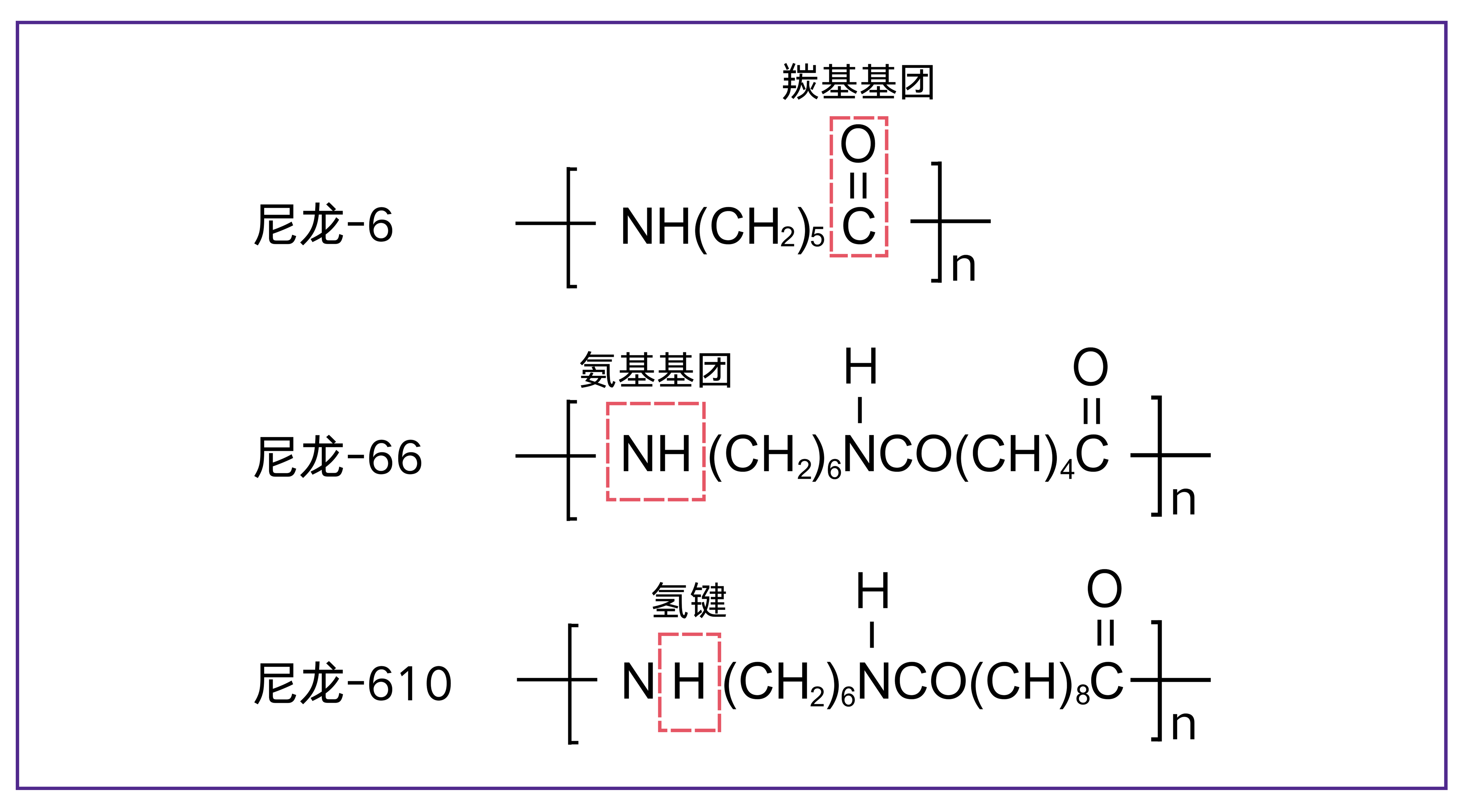 尼龍-6 (6).png